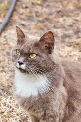 Similar image 21224155