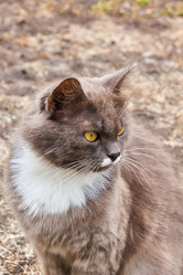 Similar image 21235953