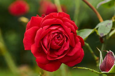 Similar image 21251460