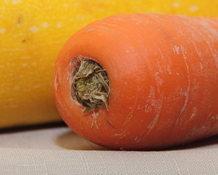 Similar image 21254412