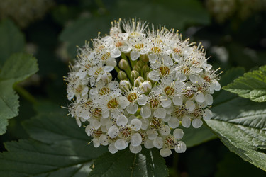 Similar image 21229785