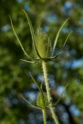 Similar image 21224625