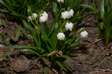 Similar image 21219520