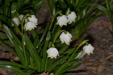 Similar image 21224626