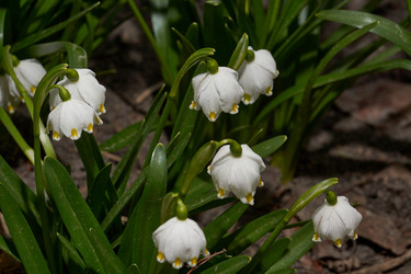 Similar image 21215754