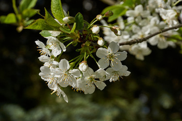 Similar image 21219521