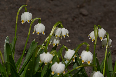 Similar image 21230669