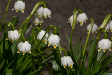 Similar image 21224156