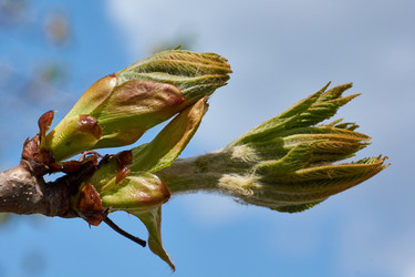 Similar image 21215755