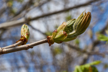 Similar image 21224158