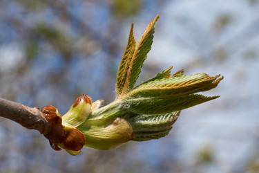 Similar image 21228455