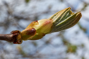 Similar image 21230673