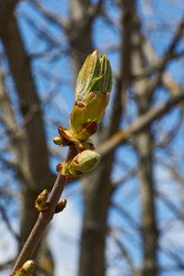 Similar image 21215756