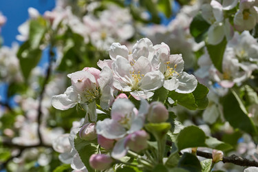 Similar image 21238667