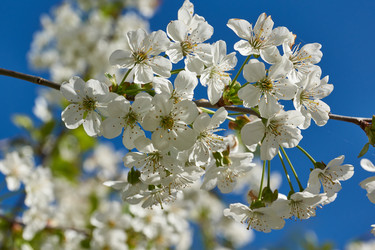 Similar image 21229787