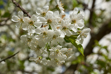 Similar image 21235956