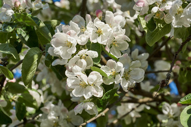 Similar image 21215757