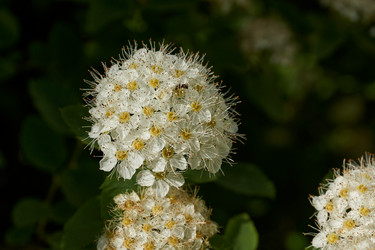 Similar image 21215758