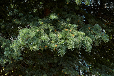 Similar image 21215759