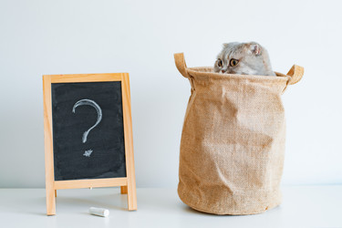 Similar image 21211308