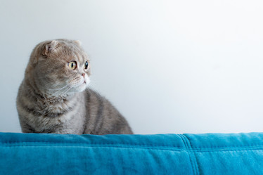 Similar image 21211314