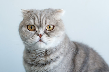 Similar image 21211315