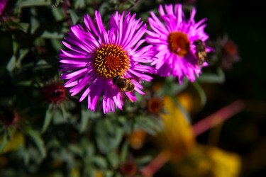 Similar image 21216151