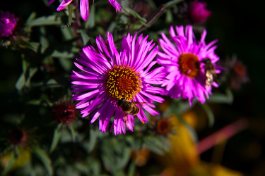 Similar image 21216152