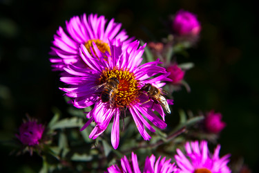 Similar image 21216154