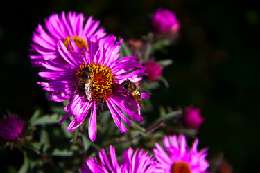 Similar image 21216155