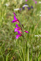 Similar image 21204462