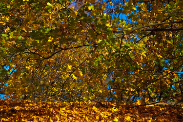 Similar image 21212258