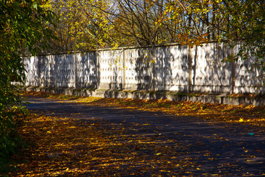 Similar image 21212259