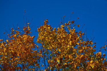 Similar image 21212261