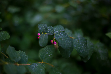 Similar image 21216166