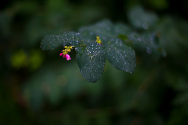 Similar image 21216167