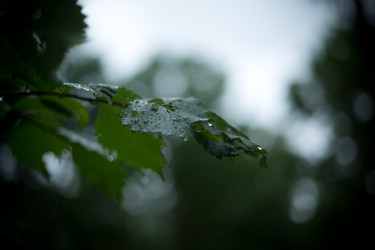 Similar image 21216169