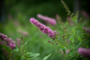 Similar image 21216170