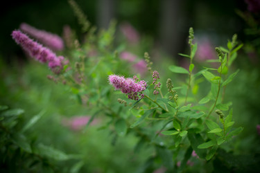 Similar image 21216171