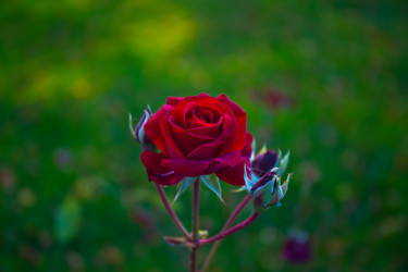 Similar image 21212280