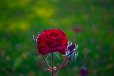 Similar image 21212281