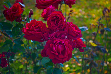 Similar image 21212283