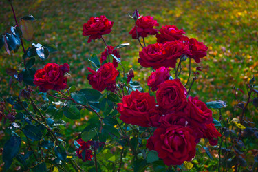 Similar image 21212284