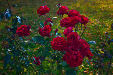 Similar image 21212285