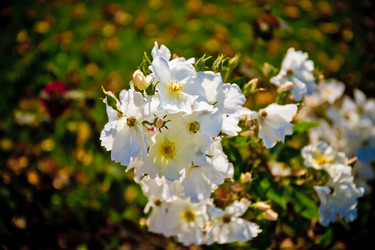 Similar image 21212286