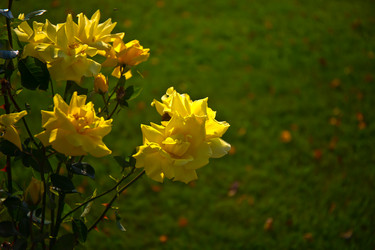 Similar image 21212289