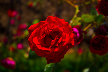 Similar image 21212292