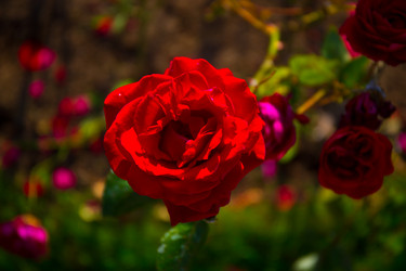 Similar image 21212293