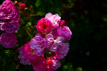 Similar image 21216175