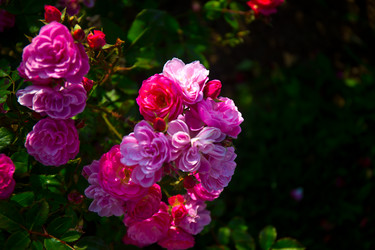 Similar image 21216176